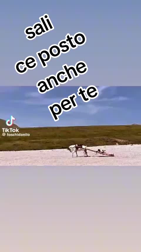 @il mio nome è mai più