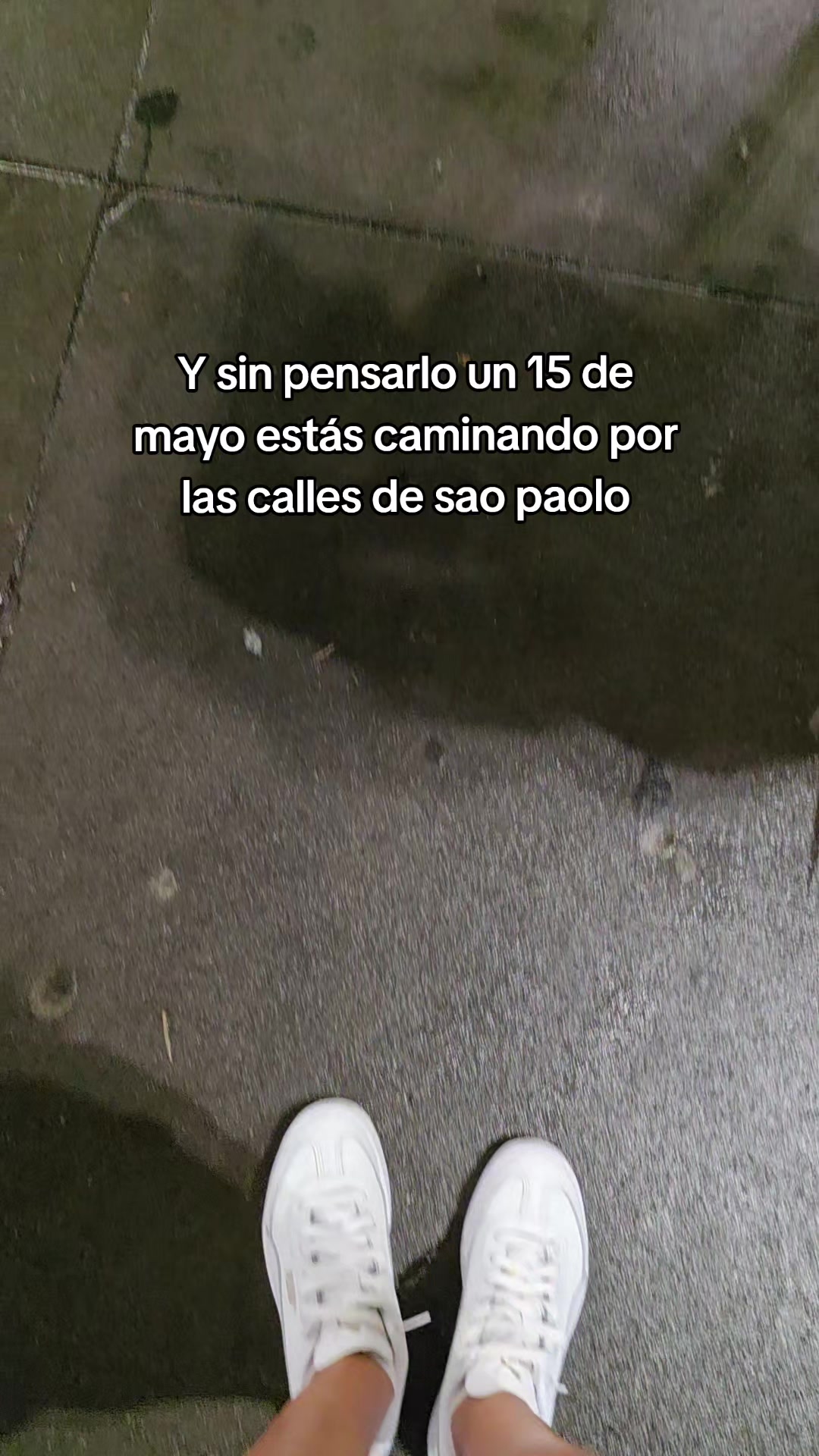@Vigil Morante Elizab