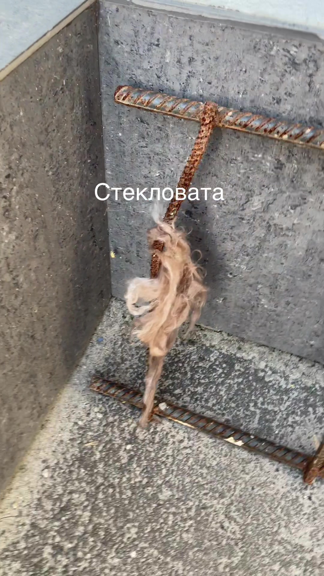 @Севун