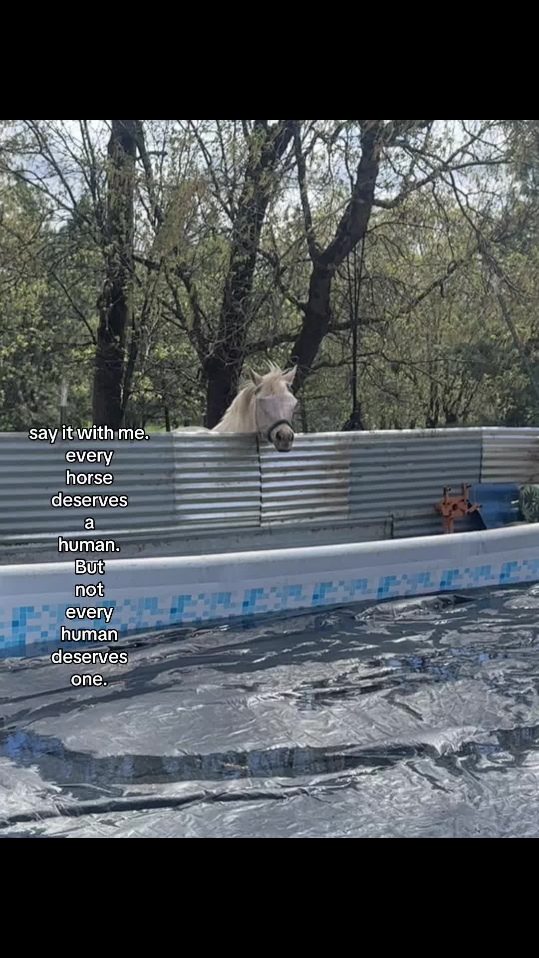 @💞
