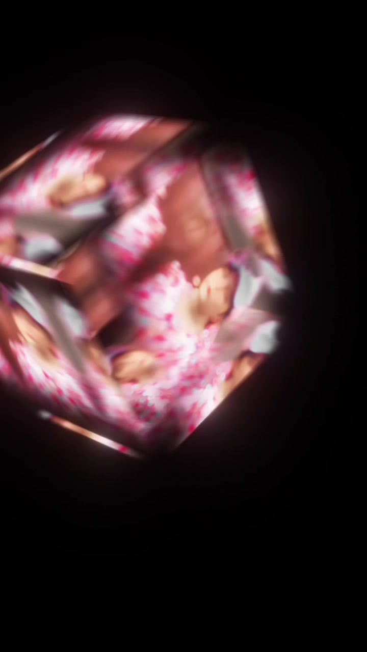@𝐌𝐢𝐬𝐬 𝐌𝐞𝐞𝐫𝐚𝐛