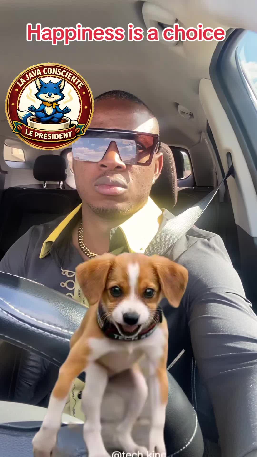 @Javaconsciente007