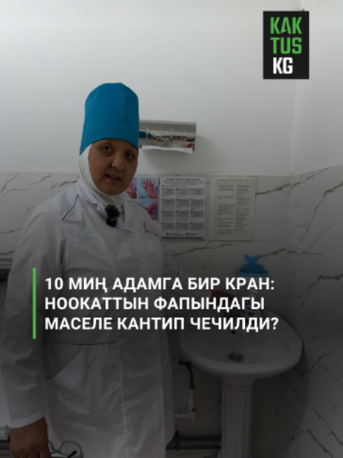 @Kaktus KG