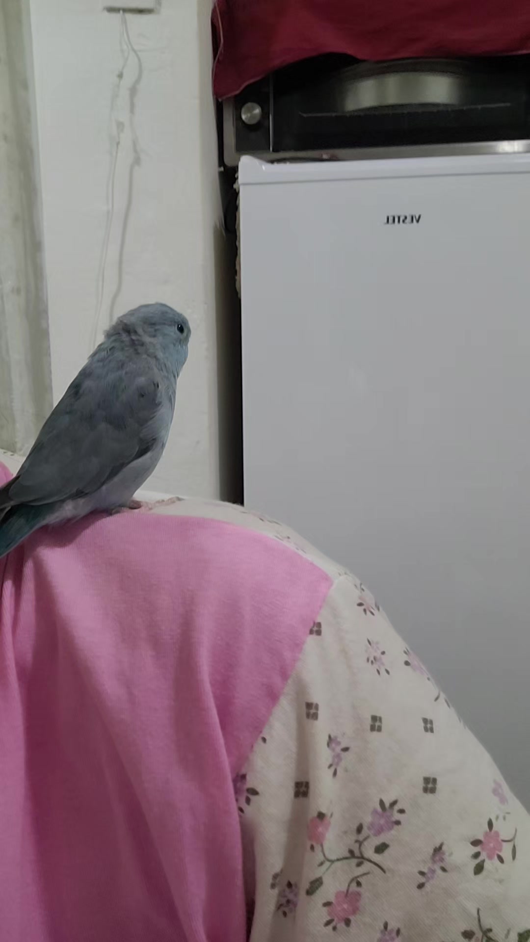 @HAYAT DEĞİL İNSANLAR ACIMASIZ