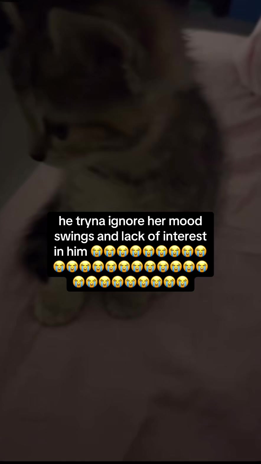 @plluto7