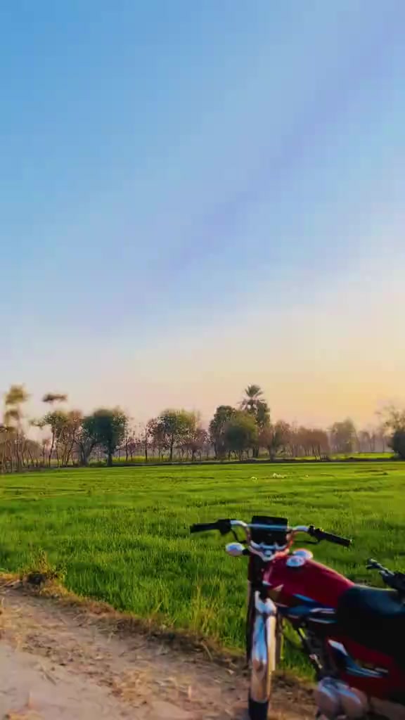 @🇦🇺🇦🇺🇦🇺ziddi302