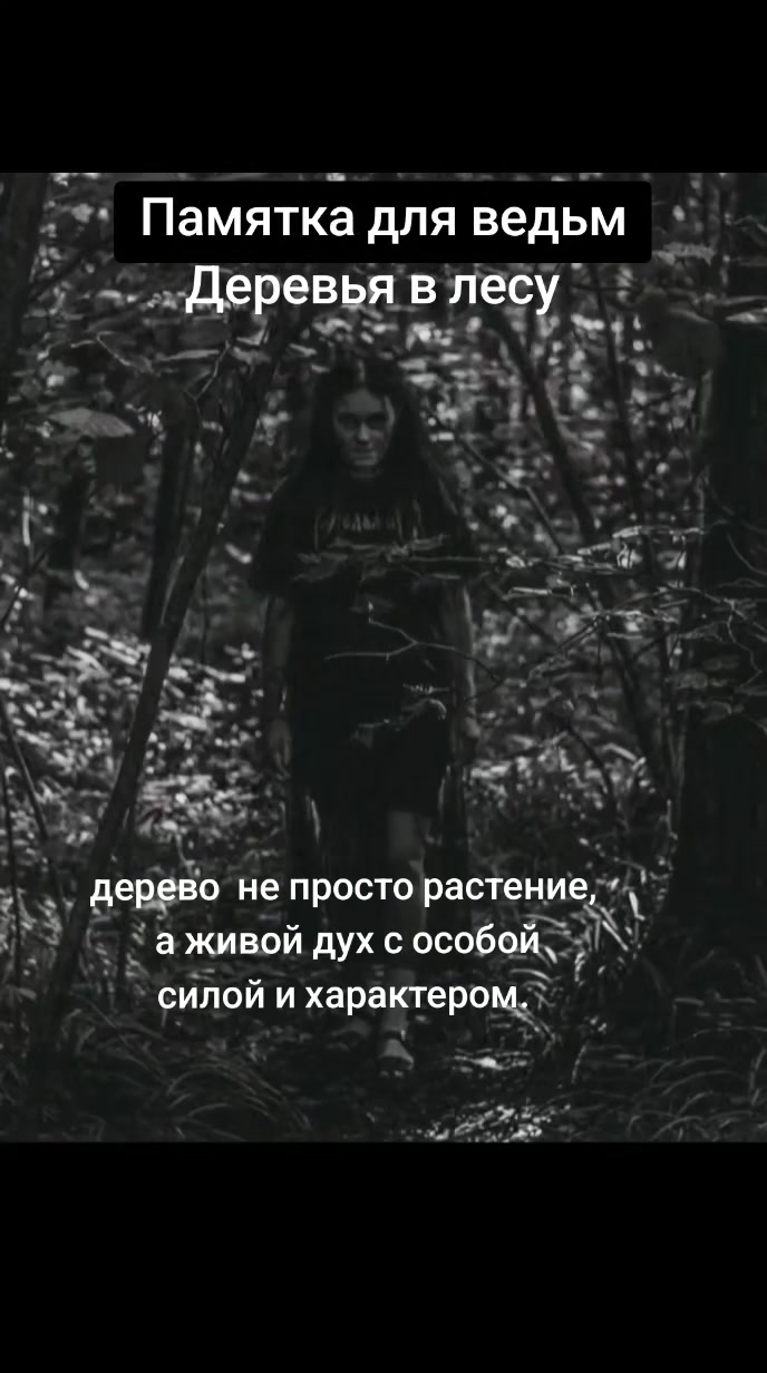 @Евгения Русская магия✔️