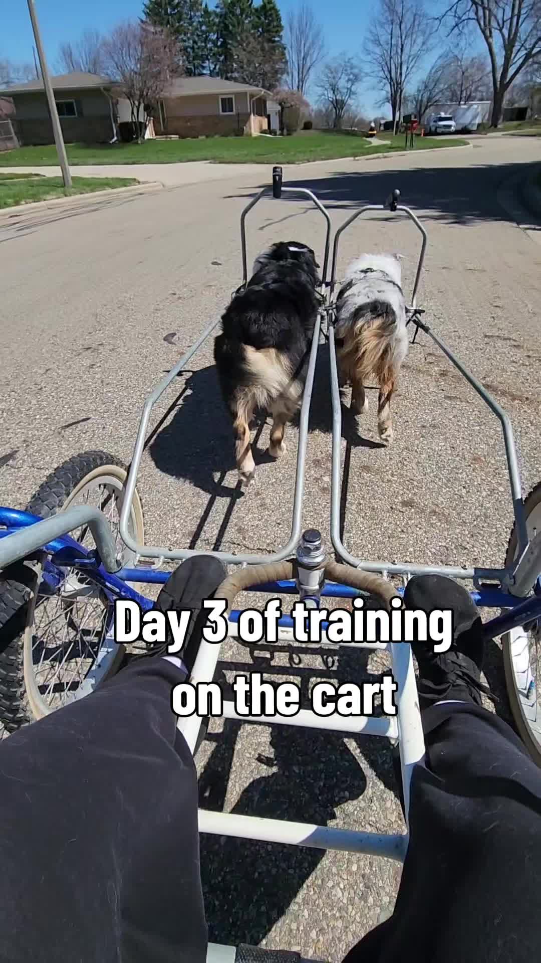 @Kyle he/him/his
