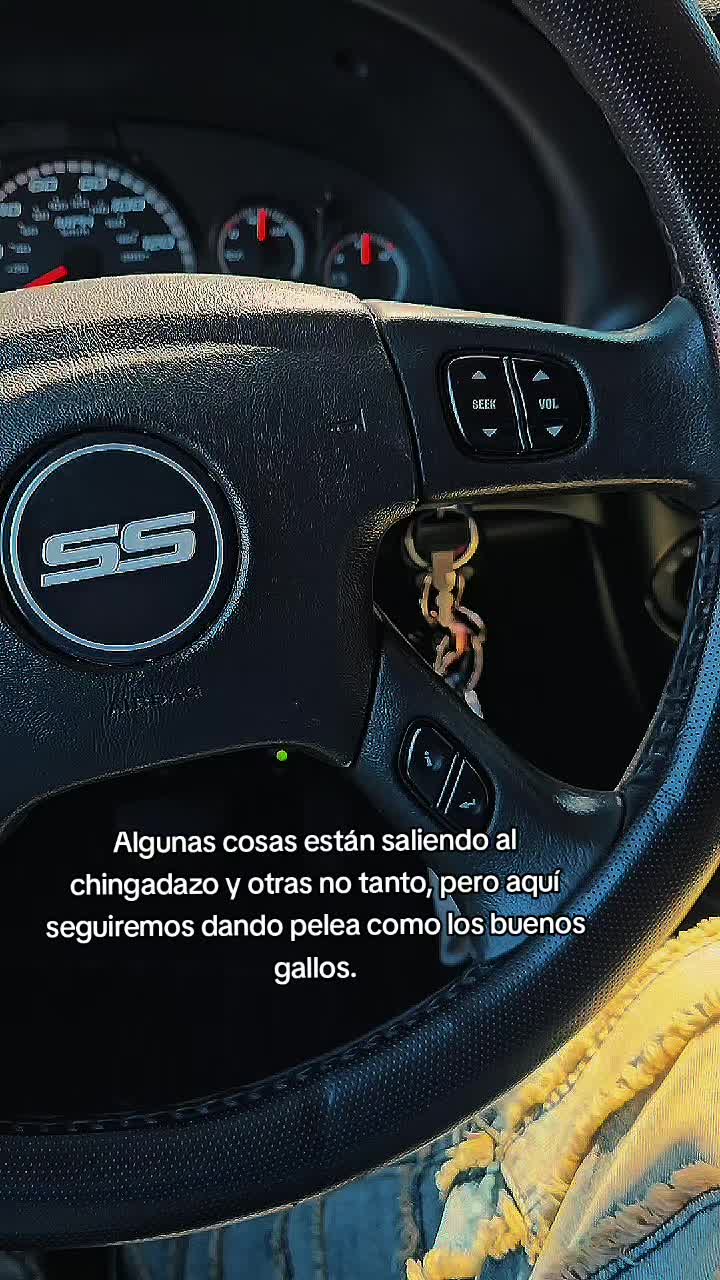 @tbss_isidro🦍