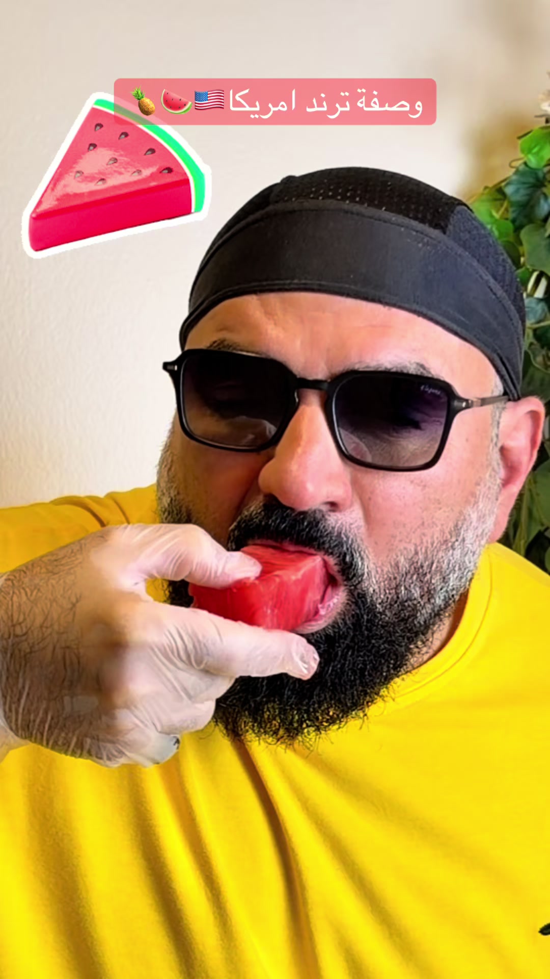 @Nabil Alayoubi