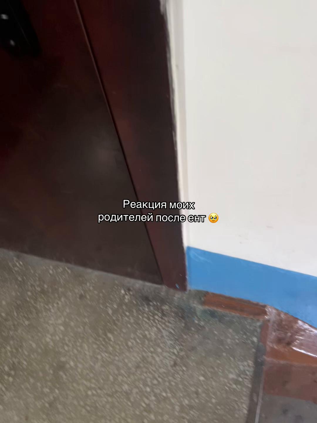 @pechenka 🍪
