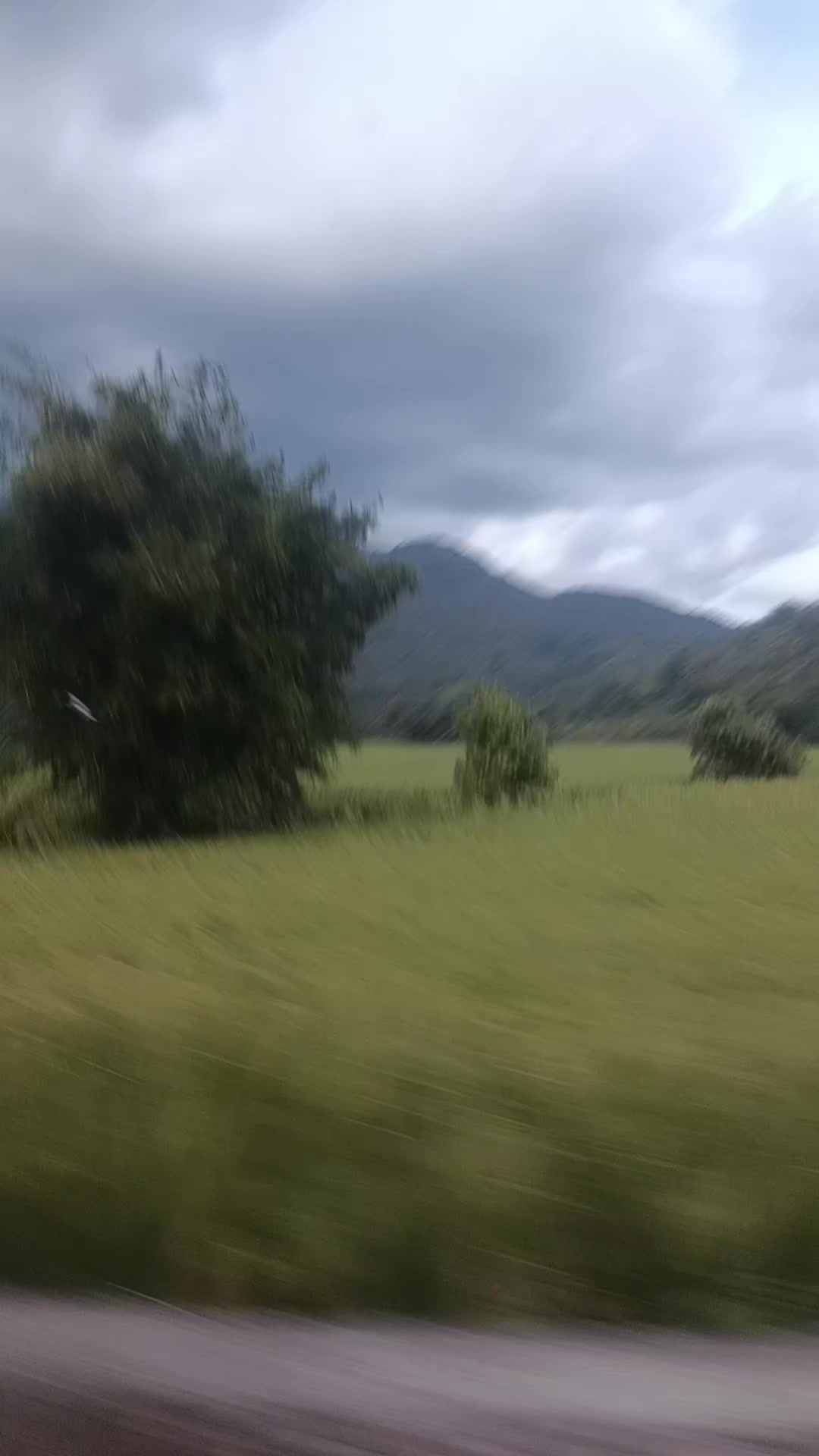 @ᓀ&deg;DonGKweE&deg;ᓂ