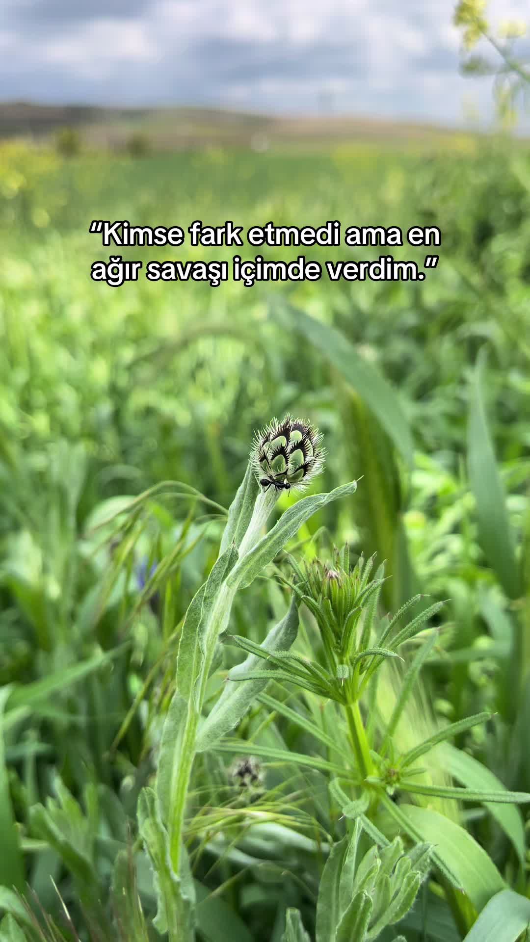 @unlovinqqq