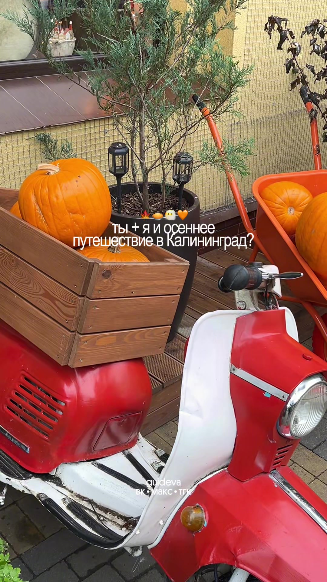 @Эвелина про Калининград