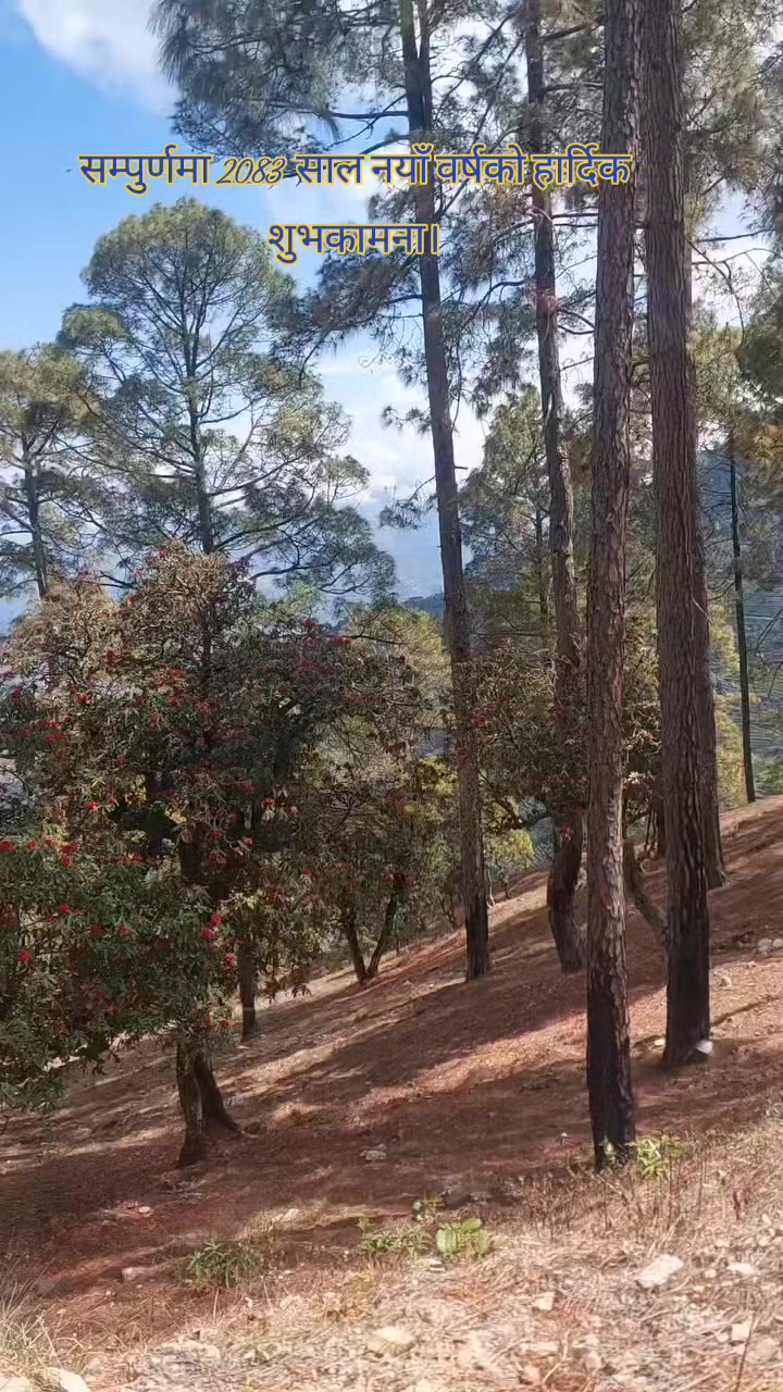 @दीपक