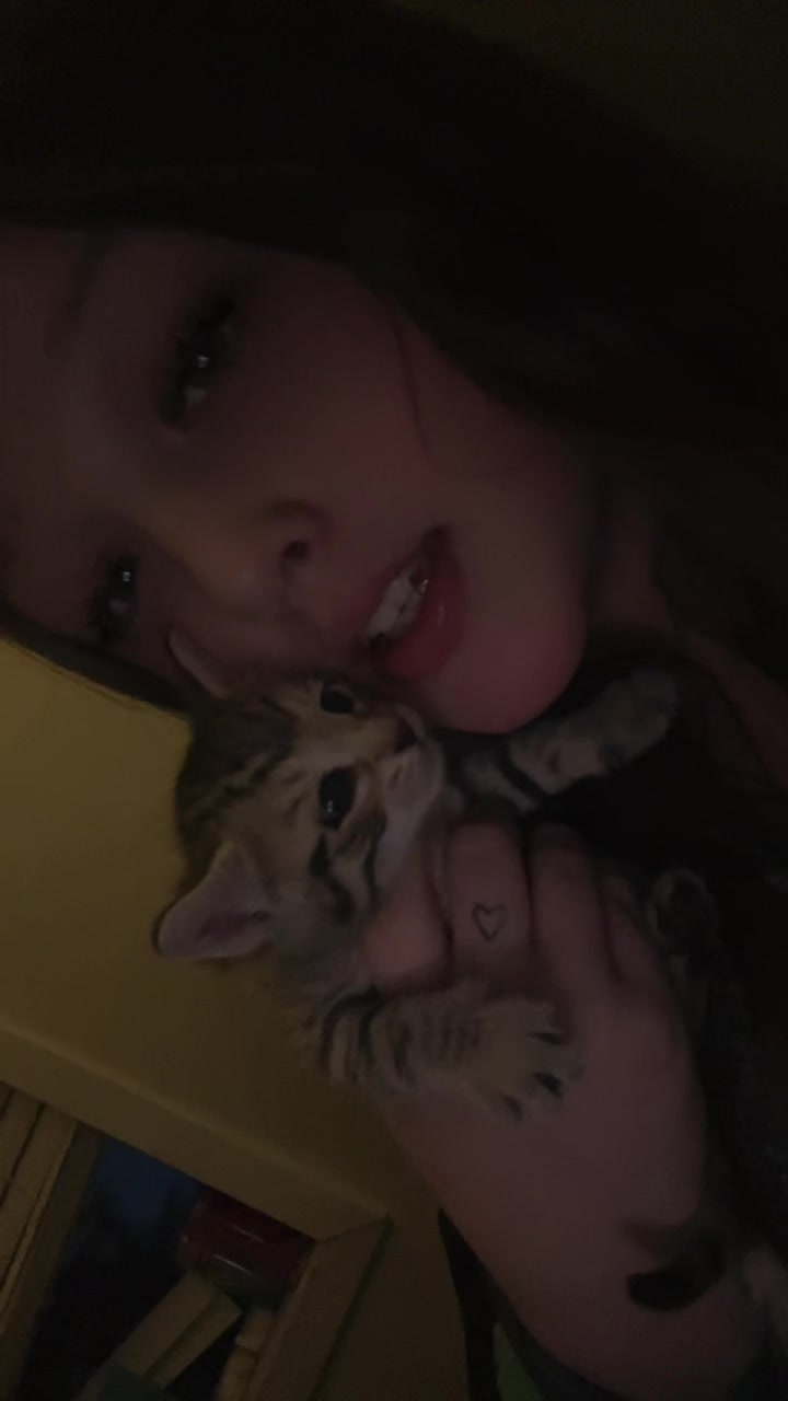 @stayshaborwig