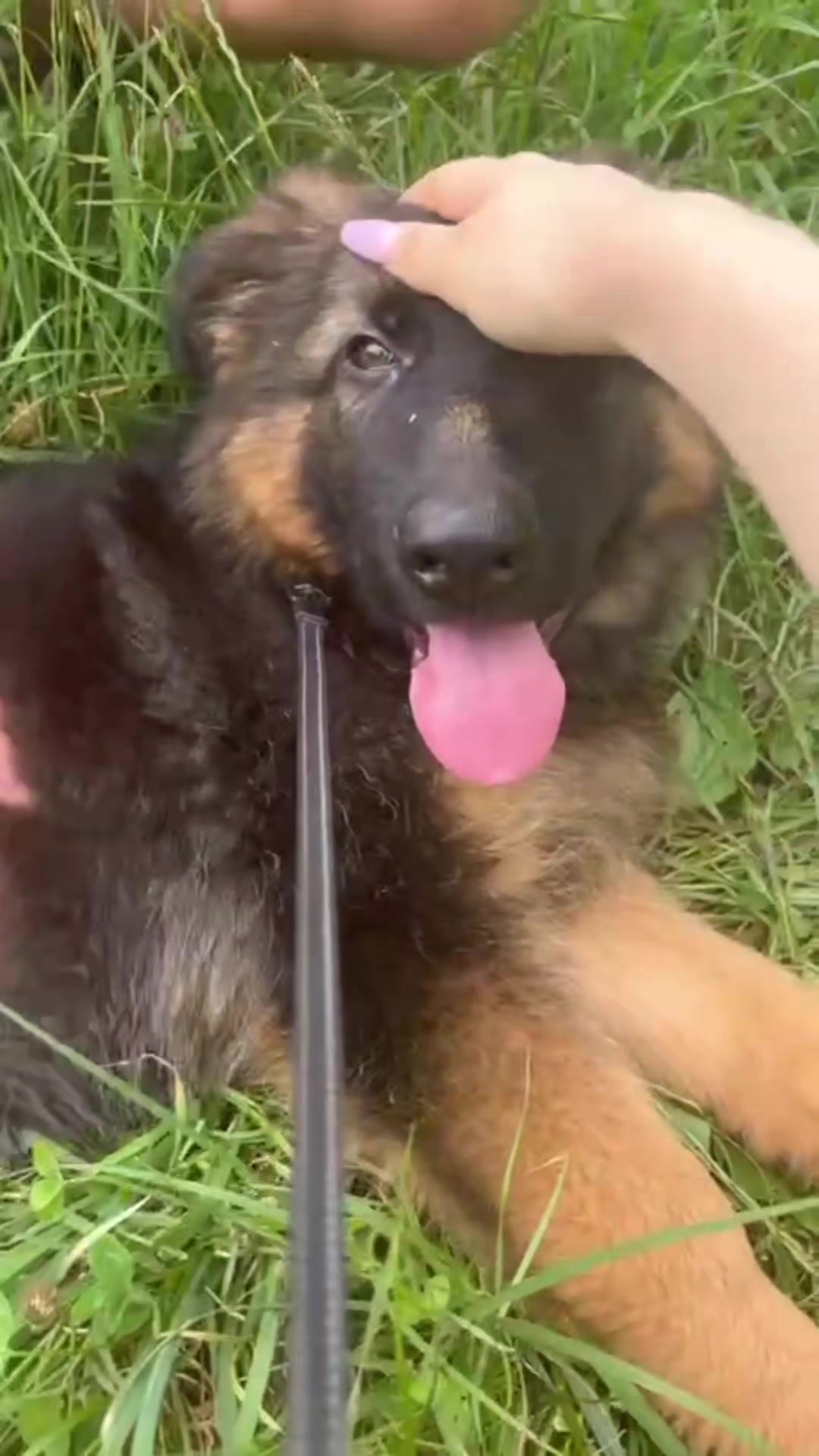 @МАТЬ ДРАКОНІВ🤣
