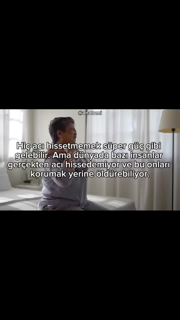 @Anatomi