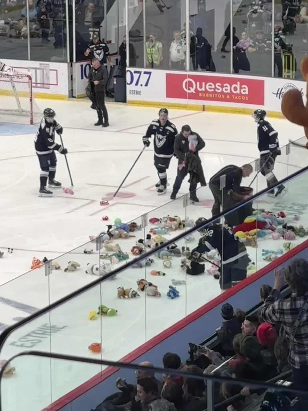 @Lydz003 🇨🇦