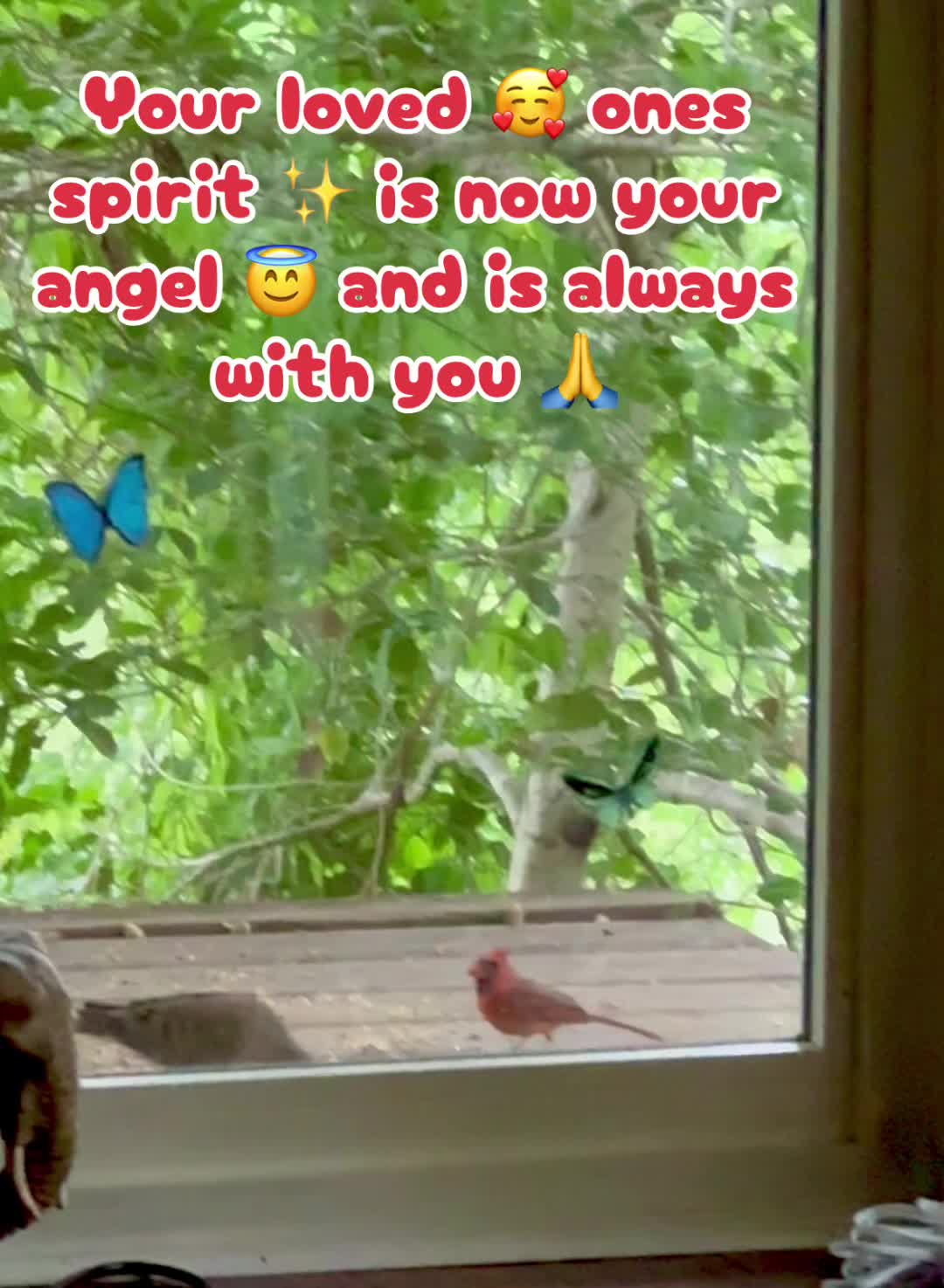 @E🌹