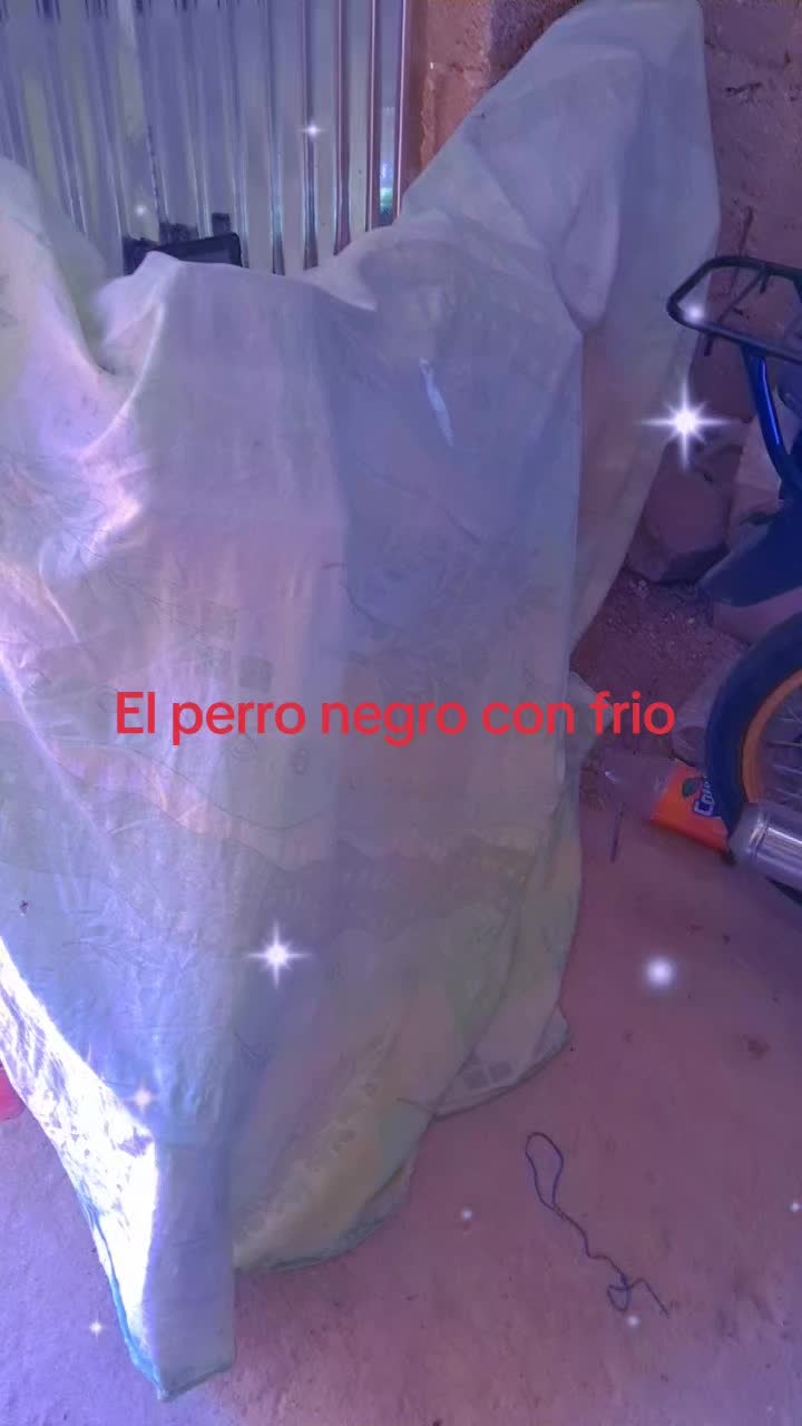 @El bandido Amarillo