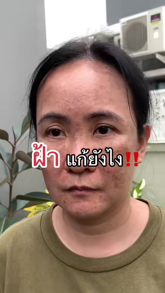 @ตังกุย แอนนาลิส ช่องบริษัท