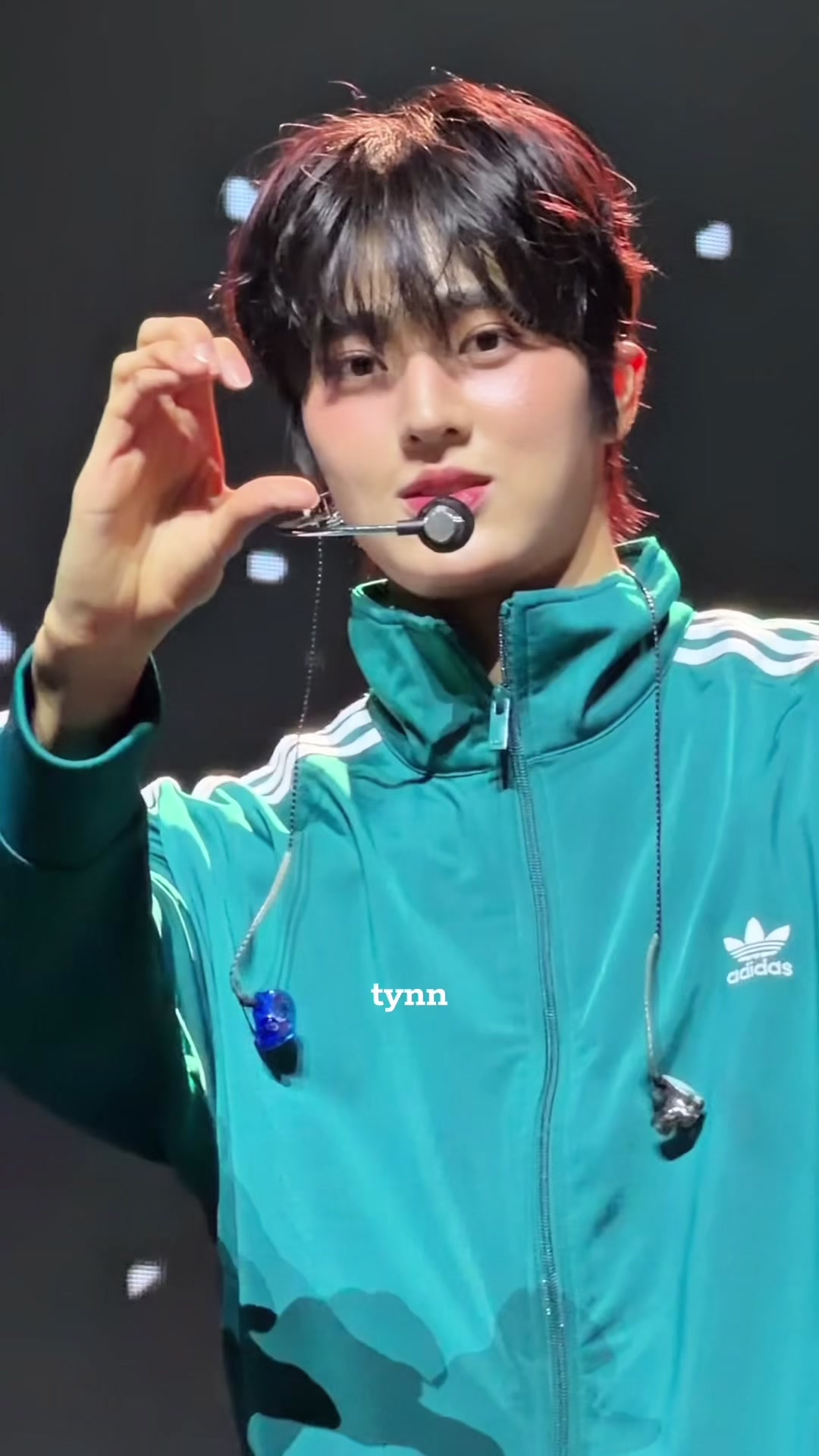 @Tynn 🐹