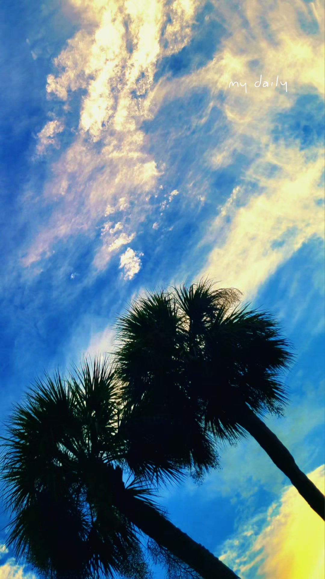 @FloridaLiving