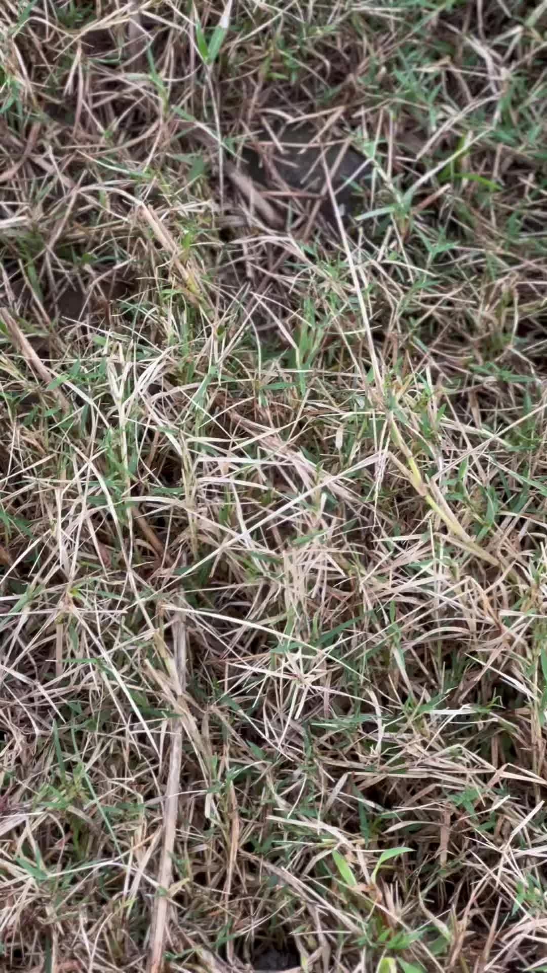 @𝙨𝙪𝙧𝙮𝙖𝙖 🀄️
