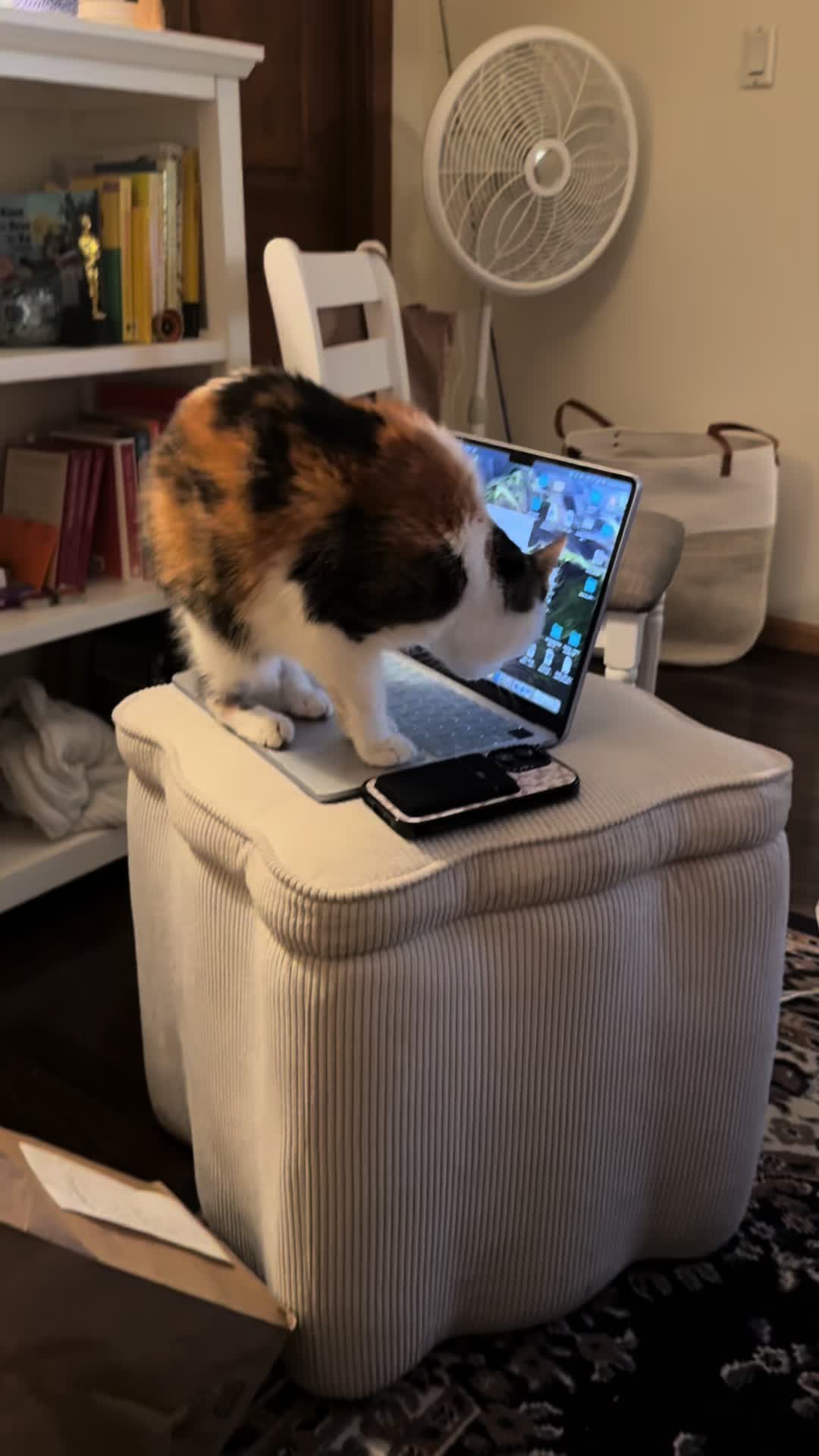 @pennyloafersmom