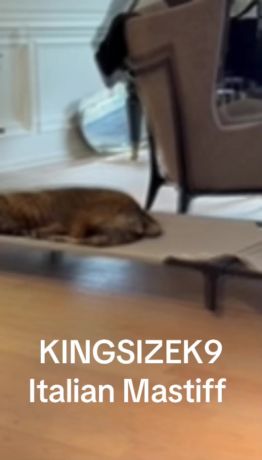 @KingCorso