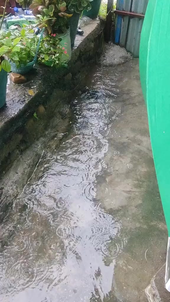 @Sanjit Lama