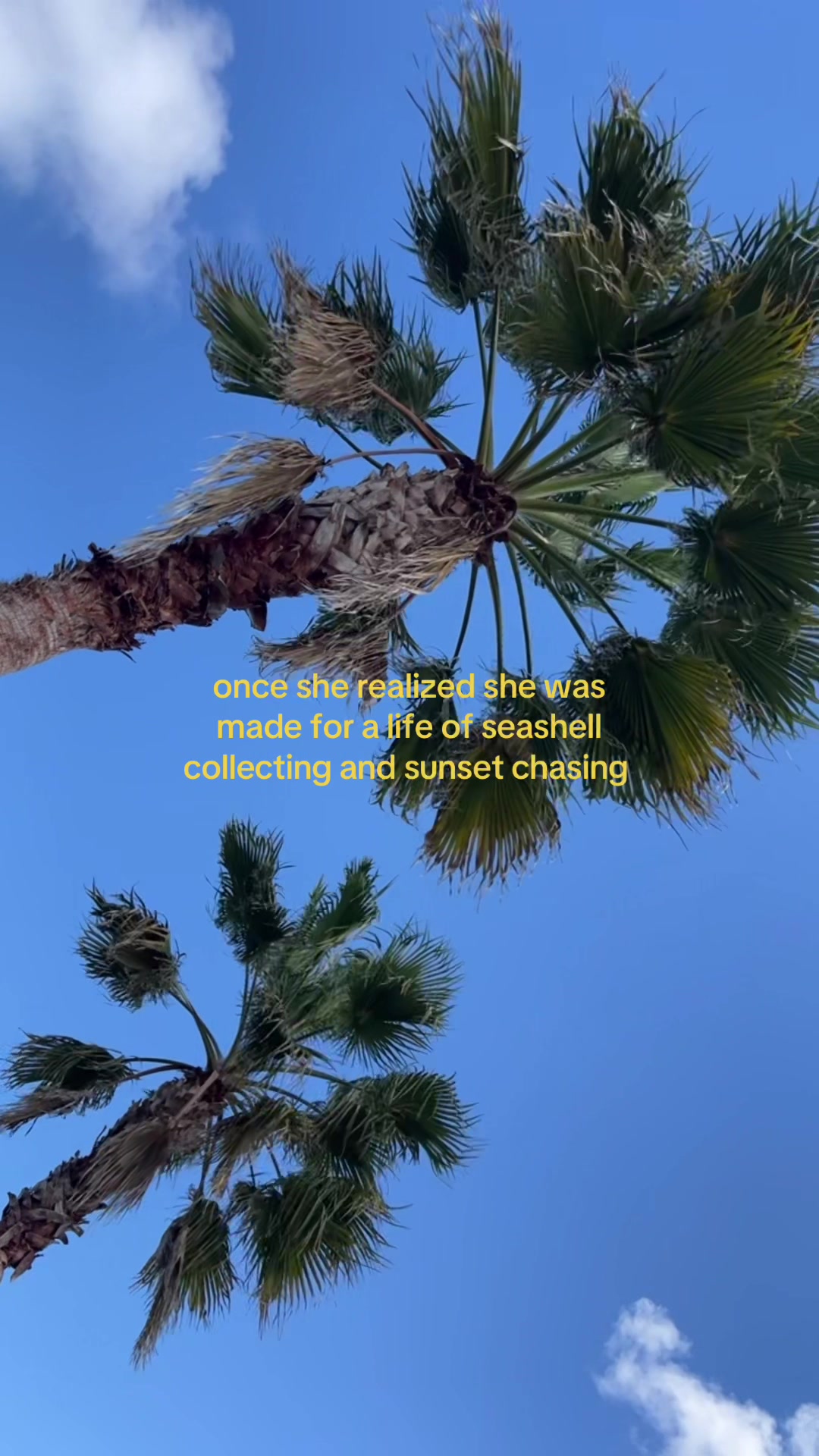 @𓇼 glenda | life by the sea 𓇼