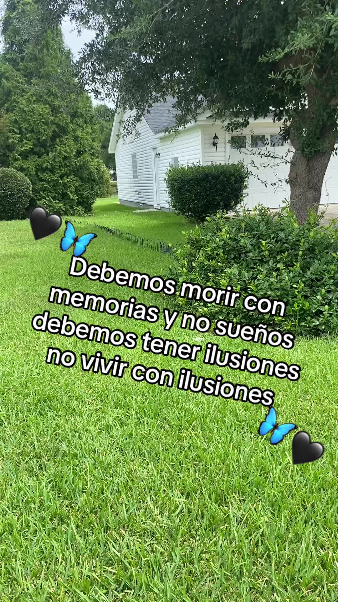 @mary