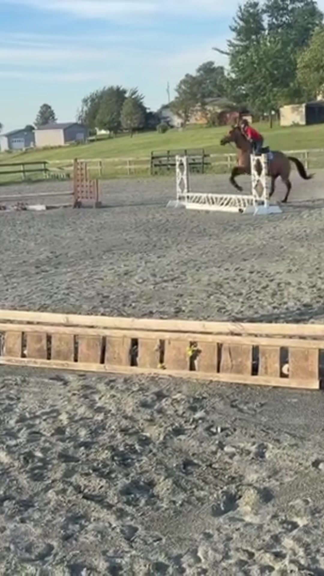 @Aftyn 🐎