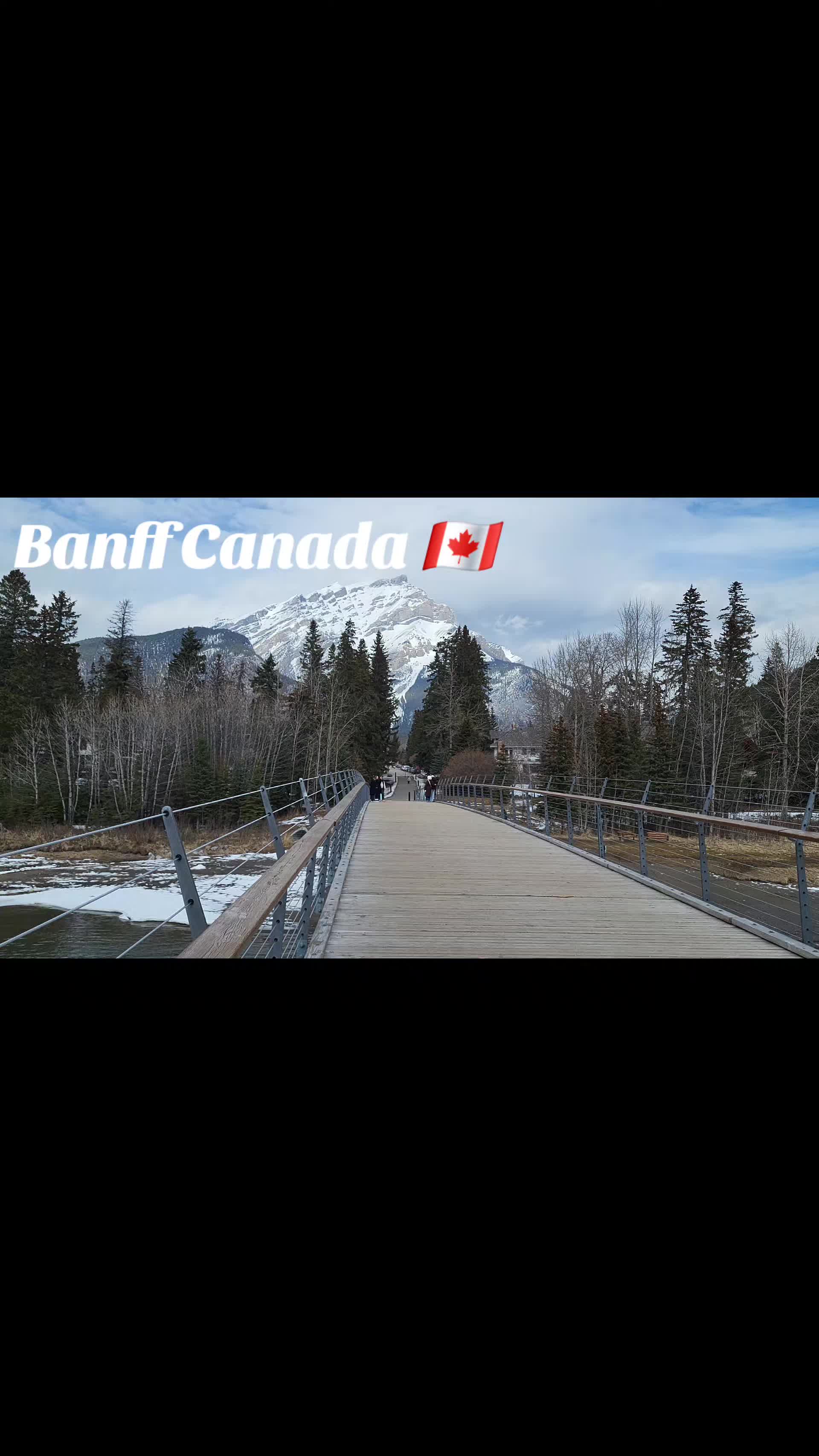 @CDLROB