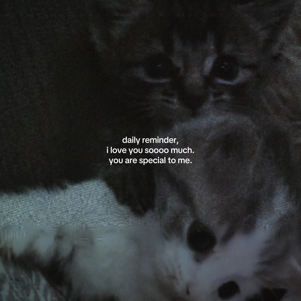 @Spotify: LXNYA