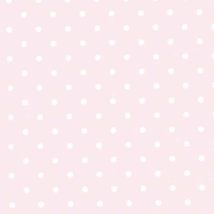 @݁ ˖Ი𐑼⋆