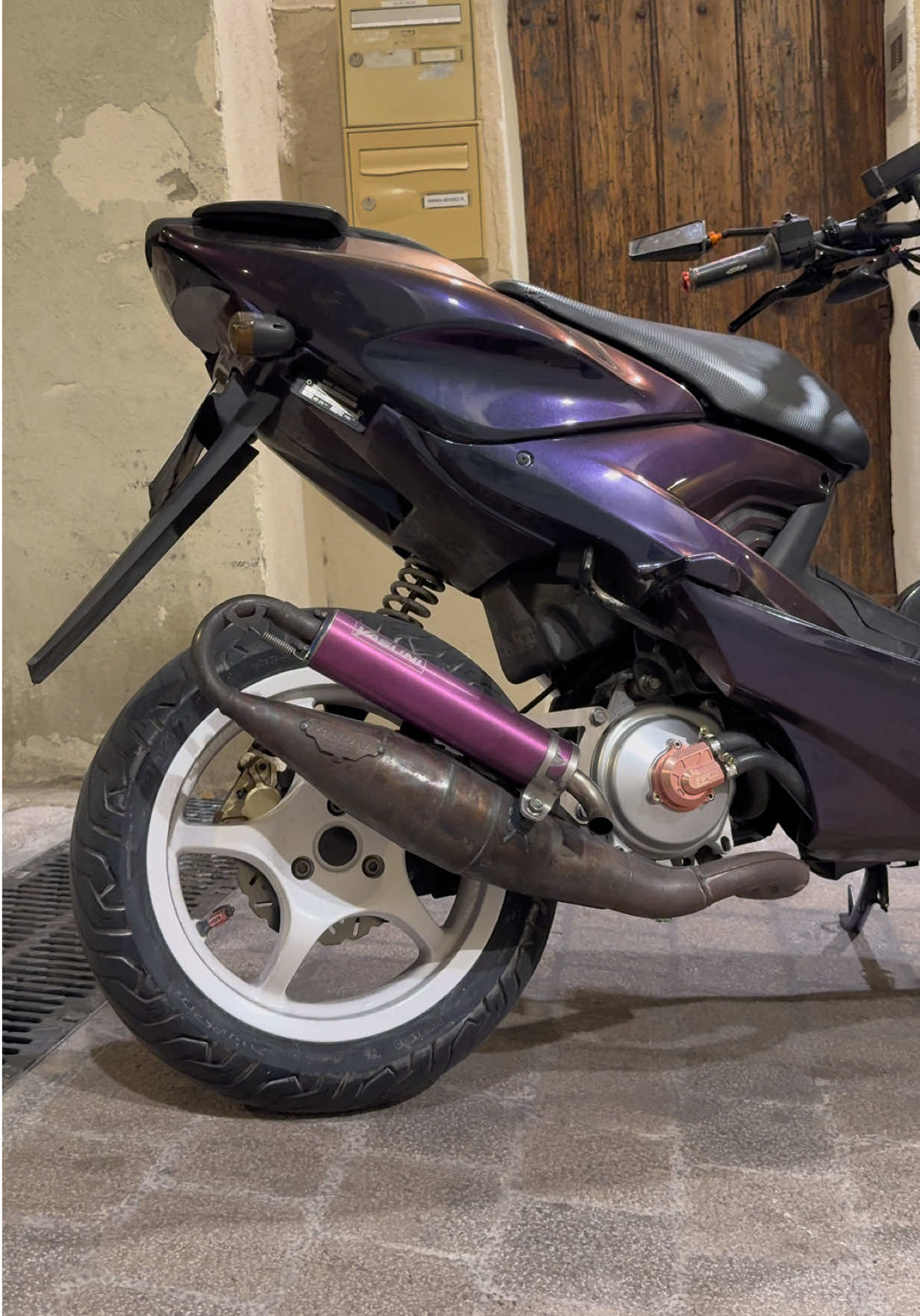 @le_rider_fou