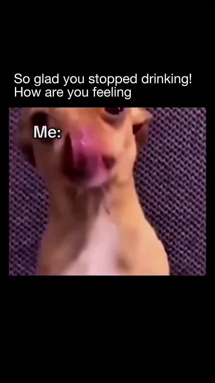 @ernest