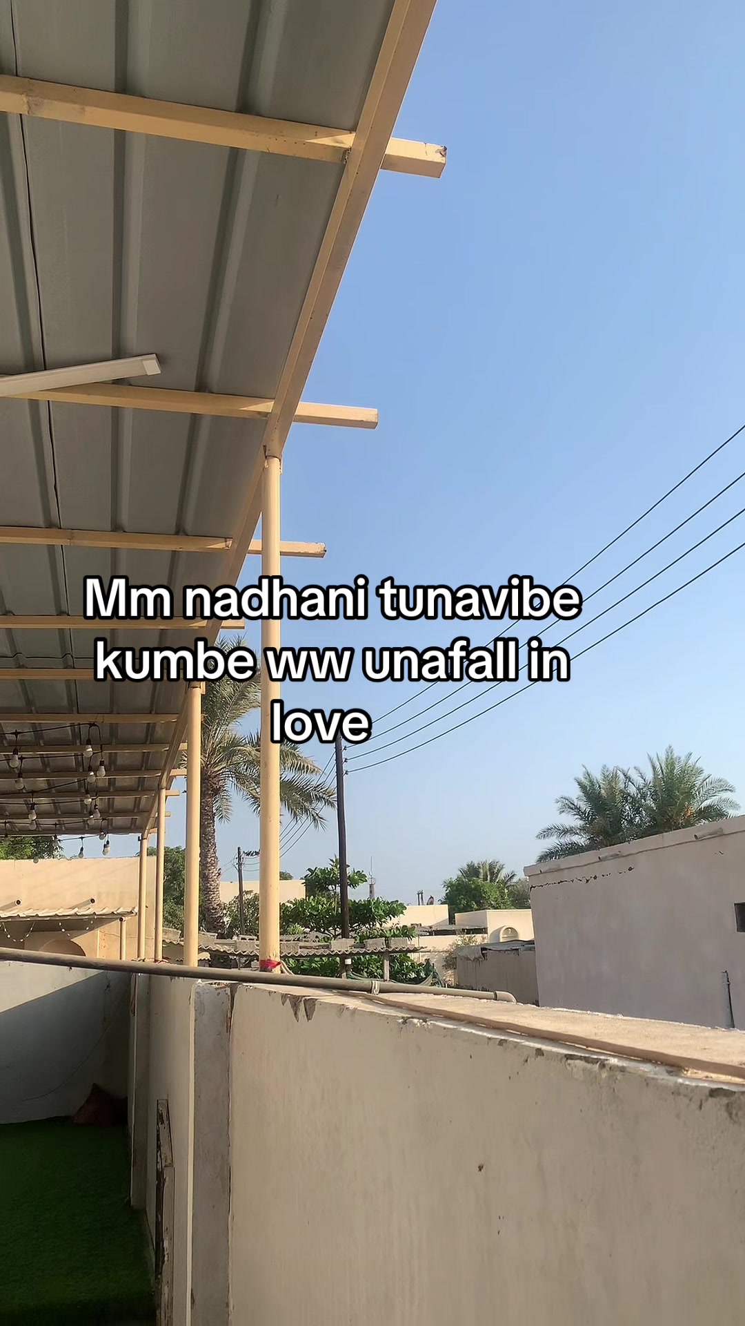 @dijo