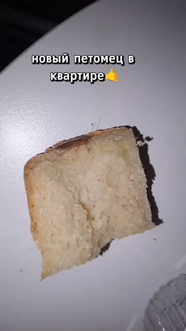 @Bovomer