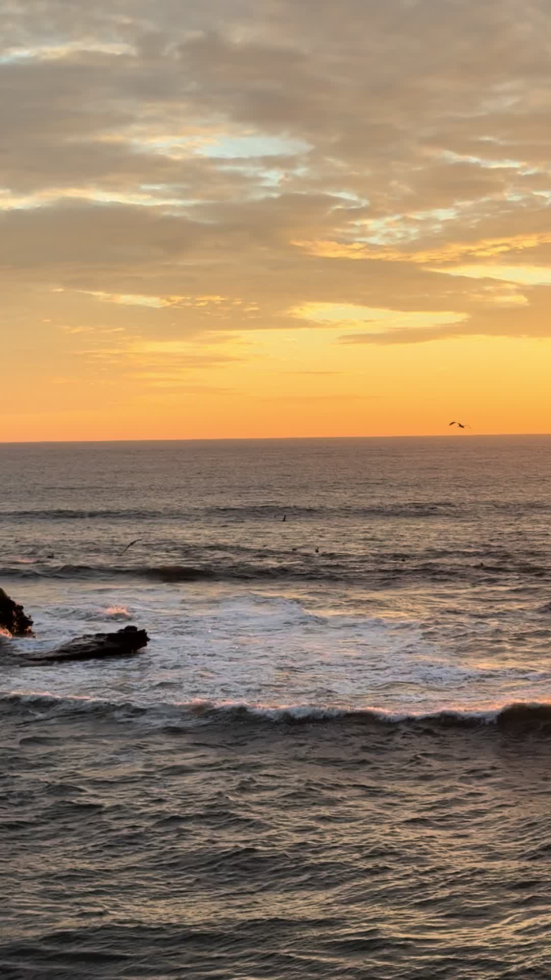 @San Diego Beach Review