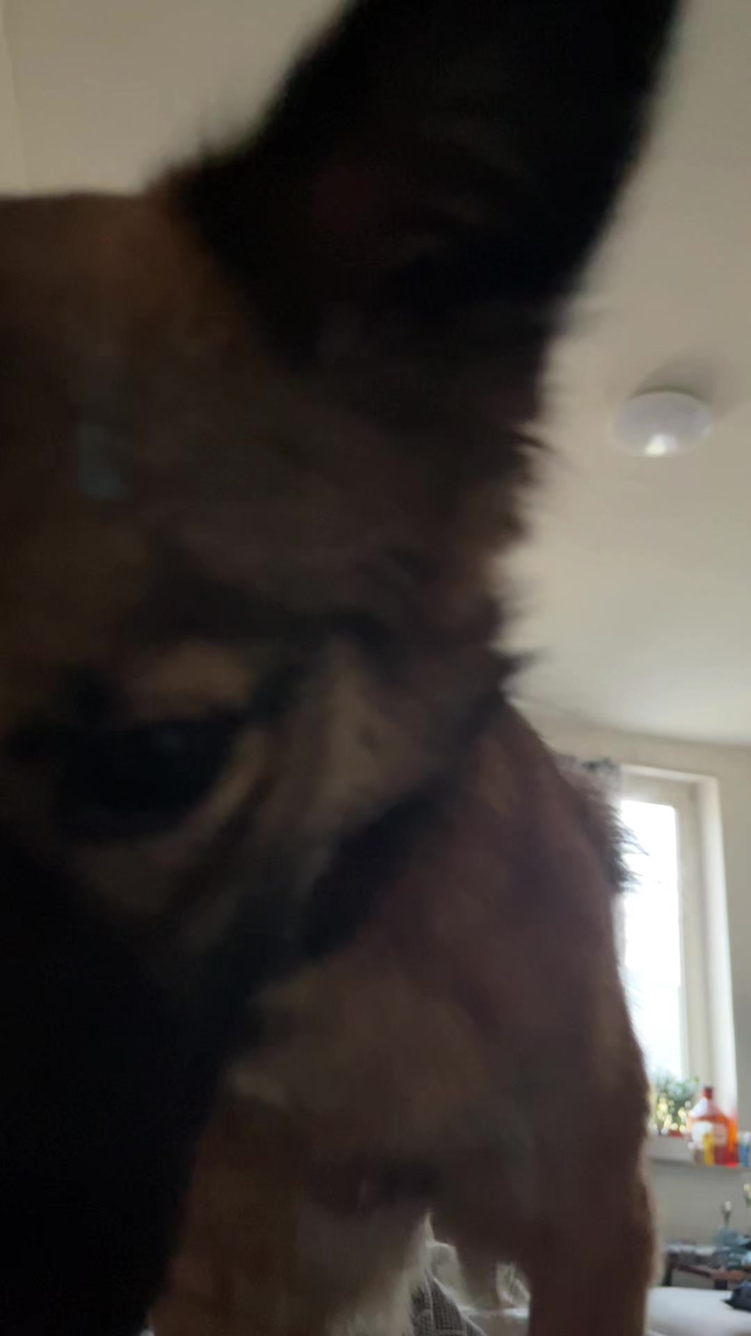@Anoushka
