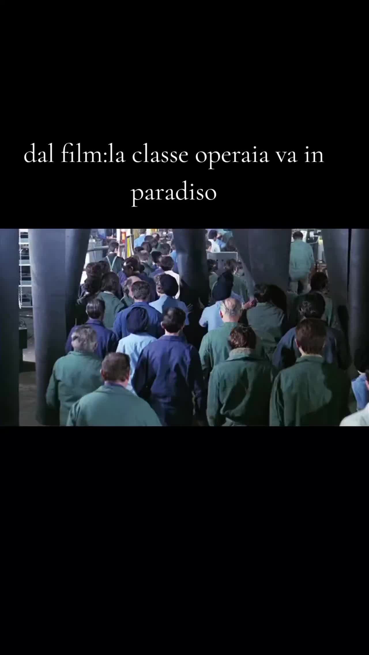 @Mirko