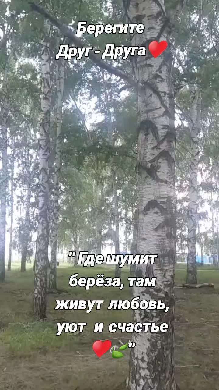 @ksy.sha77