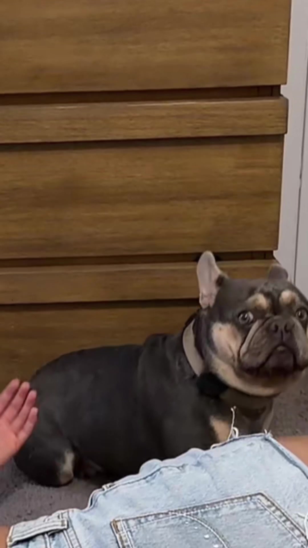 @IamWalter