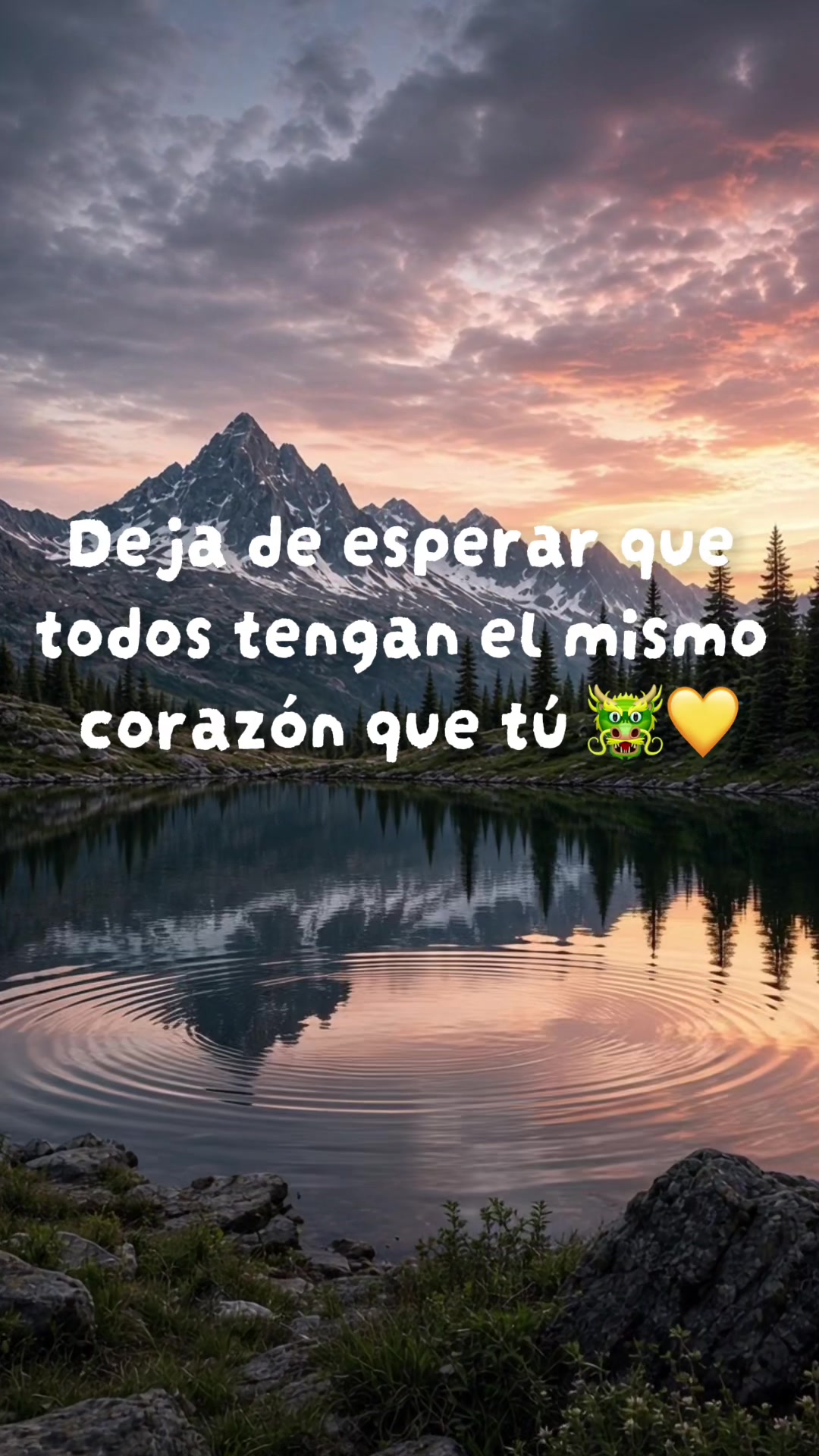@TEAM DRAGON🐲💛