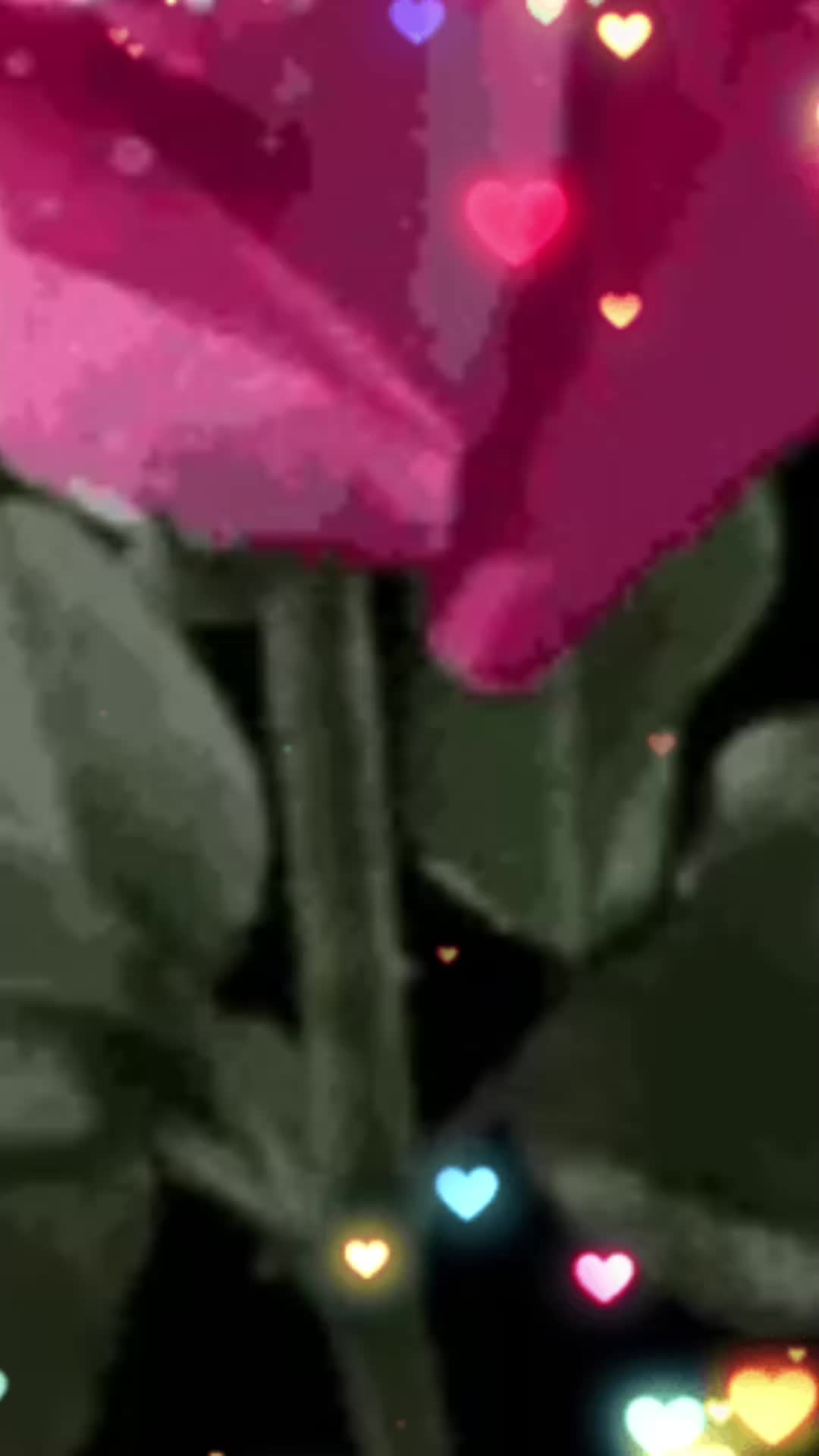 @Ivan 63 🌈🌈🌈