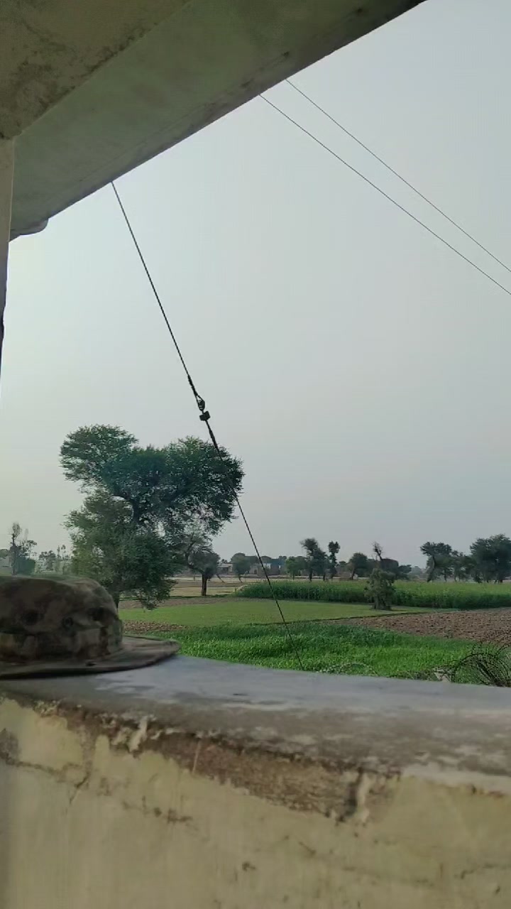 @JANJUA JUTT